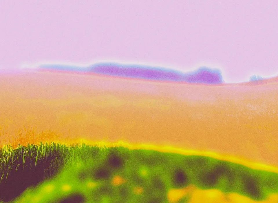 A golden field beneath a pale lilac sky, with violet hills on the horizon and green grass in the foreground.