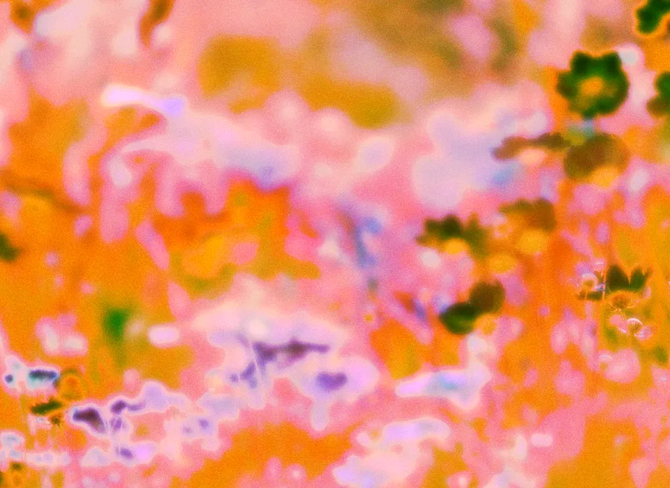 An abstract blur of pink, orange, and lilac flowers with dark green blooms at the edge.