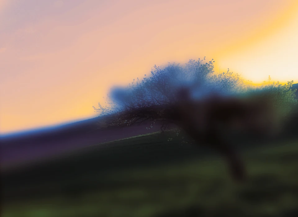 A solitary tree in a softly blurred landscape beneath a peach-colored sky.