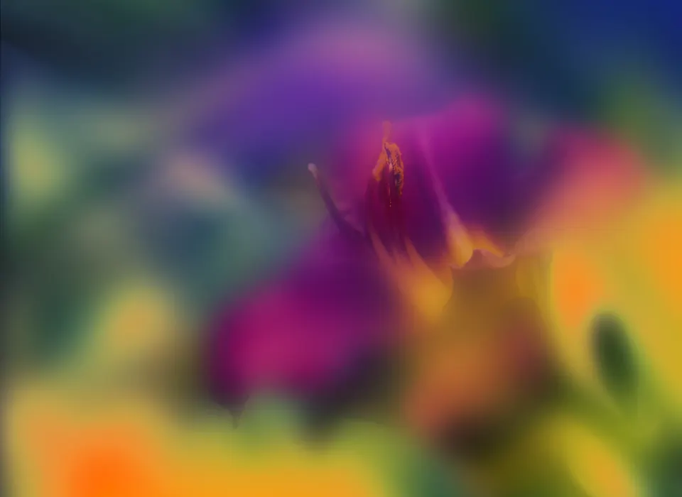 A purple flower in deep blur surrounded by yellow and green.